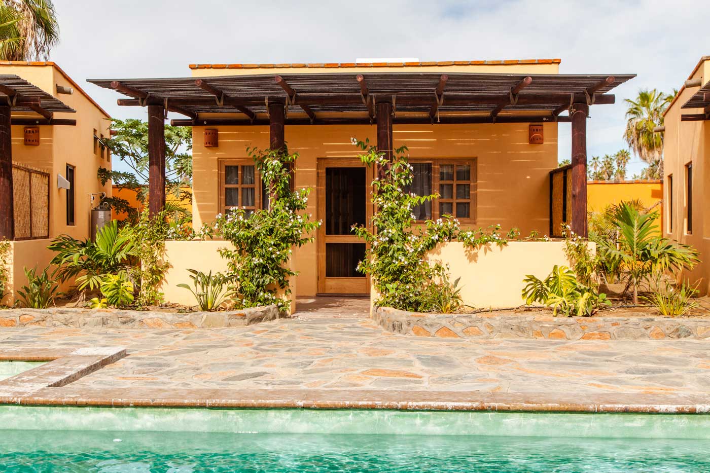 Blue Turtle Casita Kempii